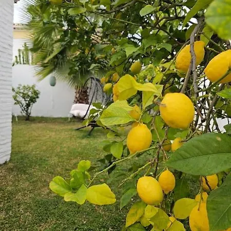 Belgica Villa Nerja